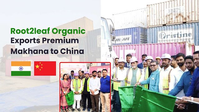 Root2Leaf Organic Leads Export of Premium Makhana to China, Strengthening India’s Global Superfood Presence