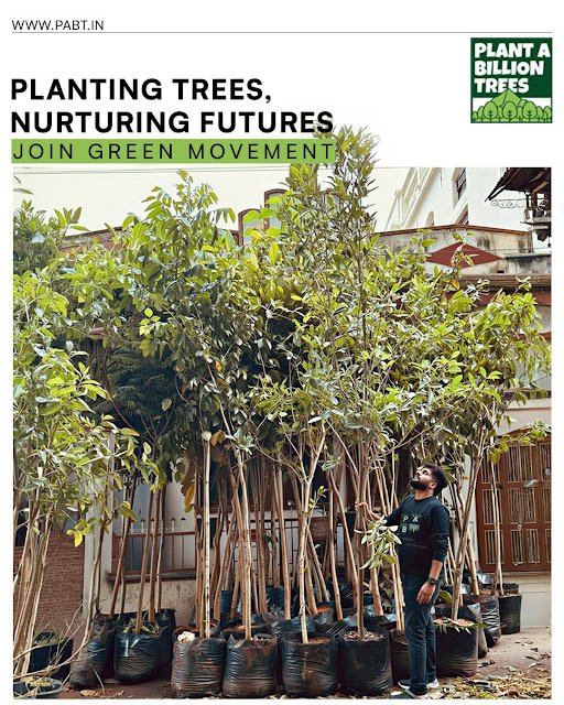 Plant A Billion Trees (PABT) Leading a Collective Movement to Restore India’s Green Cover
